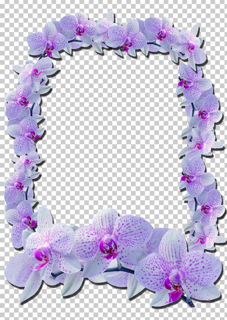 Frames Photography Flower PNG, Clipart, Animation, Drawing, Film Frame, Flower, Furniture Free PNG Download