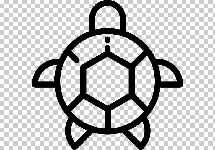 Loggerhead Sea Turtle Computer Icons Reptile PNG, Clipart, Animals, Black And White, Business, Caretta, Circle Free PNG Download