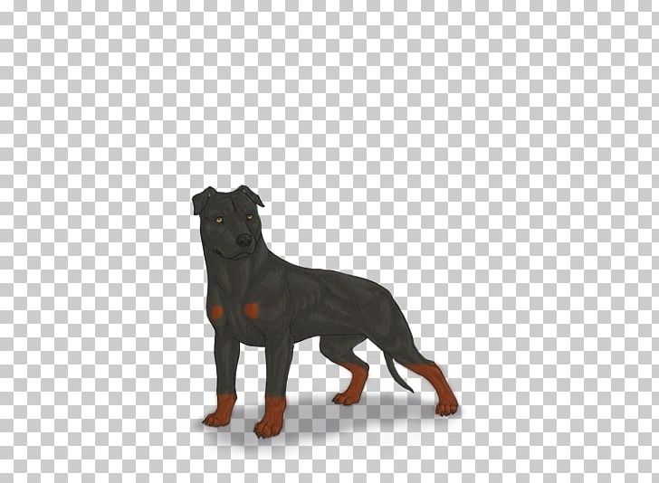 Rottweiler Puppy Dog Breed Snout PNG, Clipart, Breed, Carnivoran, Dog, Dog Breed, Dog Breed Group Free PNG Download