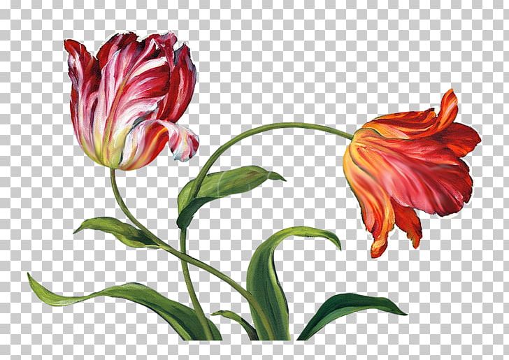 Flower Floral Design Tulip Painting Canvas Print PNG, Clipart, Art, Audit, Canvas, Canvas Print, Cut Flowers Free PNG Download