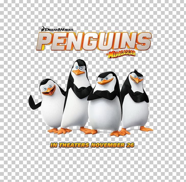 Kowalski Skipper Madagascar Desktop Film PNG, Clipart, Animation, Beak, Bird, Cartoon, Desktop Wallpaper Free PNG Download