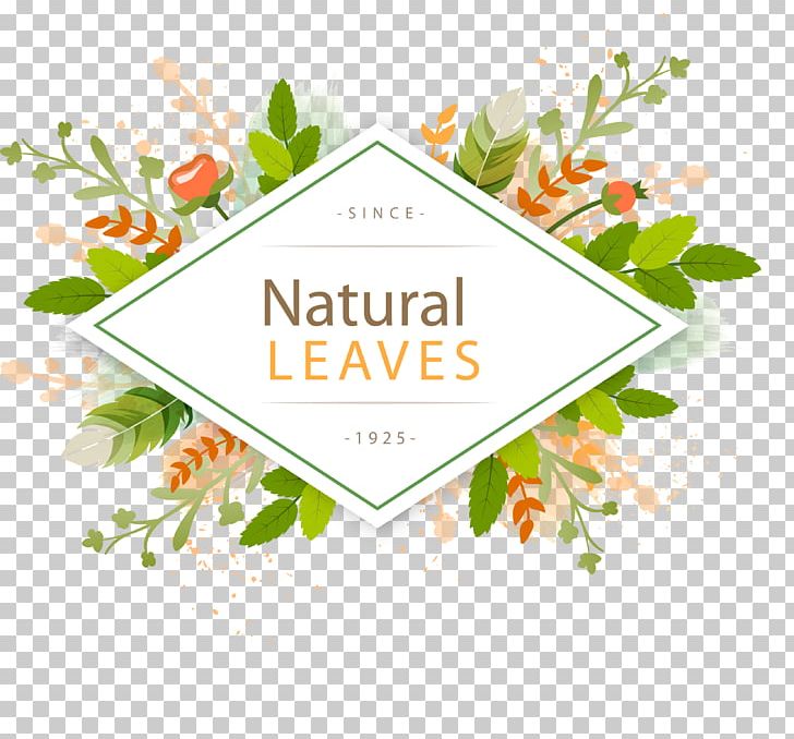 Flower Watercolor Painting Illustration PNG, Clipart, Autumn Leaf, Brand, Floral Design, Floristry, Food Free PNG Download
