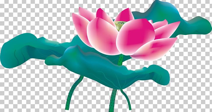 Nelumbo Nucifera China Leaf Lotus Effect PNG, Clipart, Botany, Chinese Border, Chinese Dragon, Chinese Lantern, Chinese Style Free PNG Download
