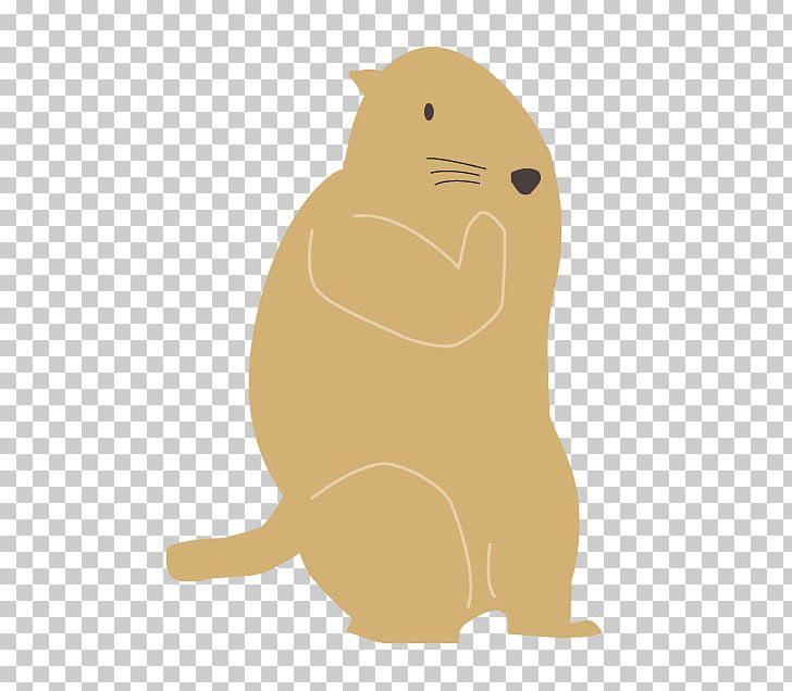 Whiskers Rodent Cat Canidae Dog PNG, Clipart, Animals, Canidae, Carnivoran, Cartoon, Cat Free PNG Download