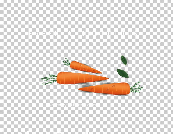 Baby Carrot Carrot Cake Vegetable PNG, Clipart, Bunch Of Carrots, Carrot, Carrot Cartoon, Carrot Juice, Carrots Free PNG Download