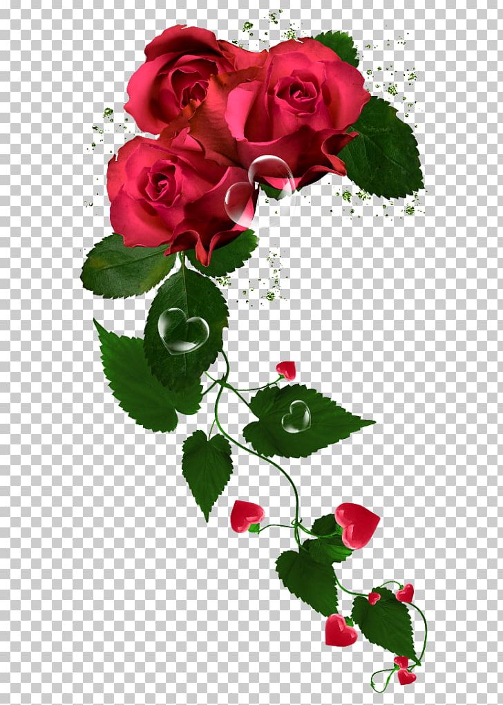 Garden Roses Cabbage Rose Floribunda Flower PNG, Clipart,  Free PNG Download