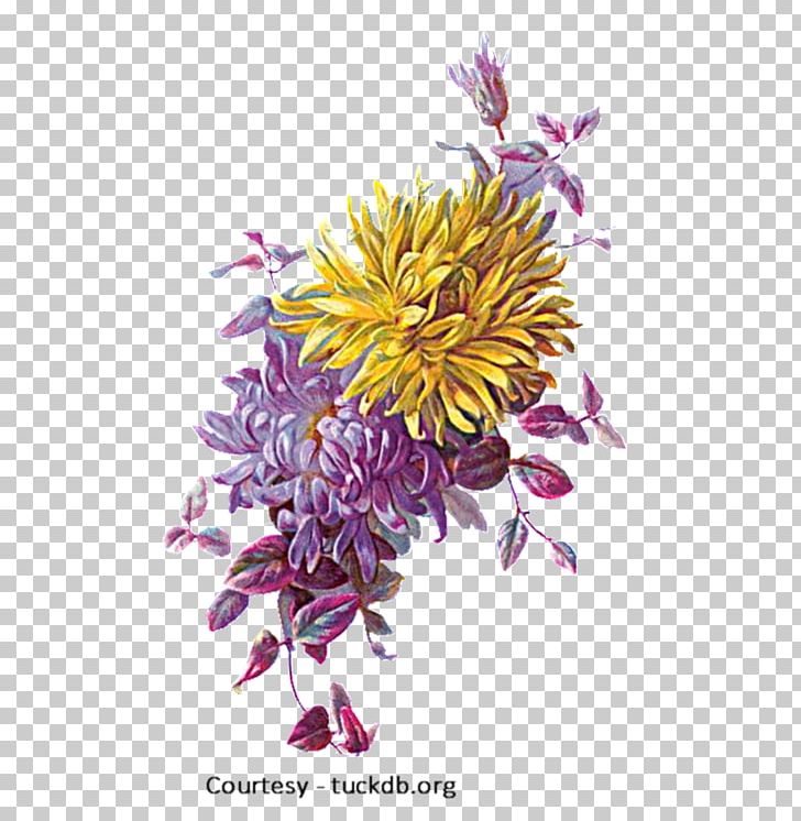 Greeting & Note Cards Birthday Paper Floral Design PNG, Clipart, Anniversary, Aster, Birthday, Chrysanthemum, Chrysanths Free PNG Download