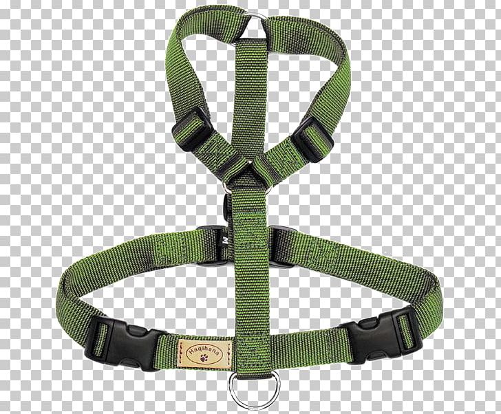 Miniature Pinscher Horse Harnesses Dog Harness Dachshund PNG, Clipart, Animals, Belt, Braces, Buckle, Calming Signals Free PNG Download