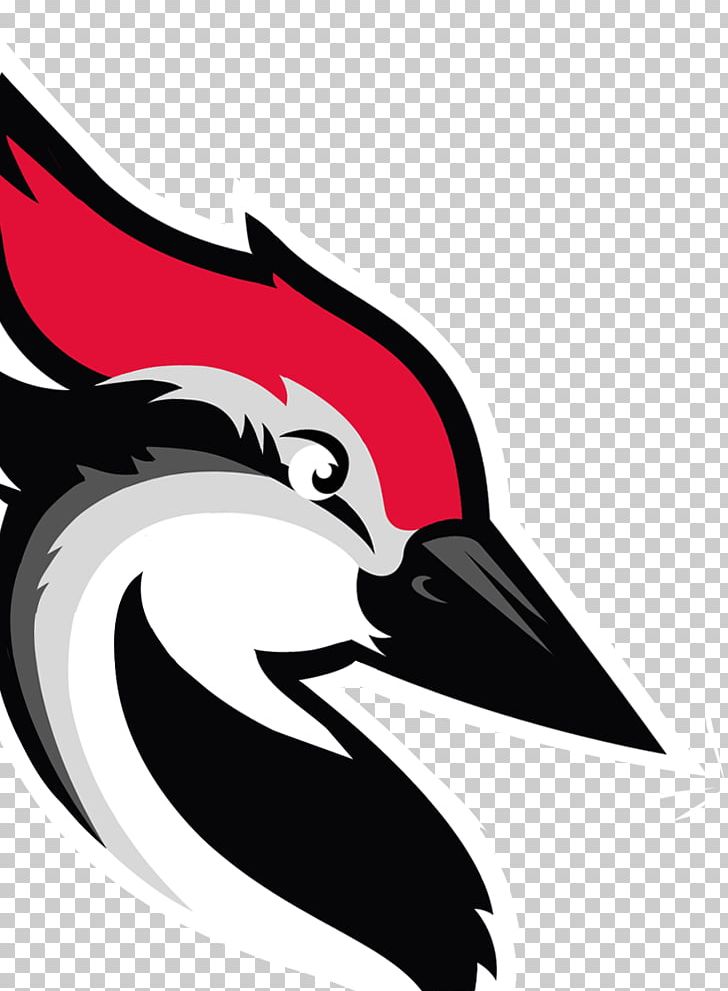 Woodpecker Beak Bird Email PNG, Clipart, Artwork, Beak, Bird, Black And White, Cartoon Free PNG Download