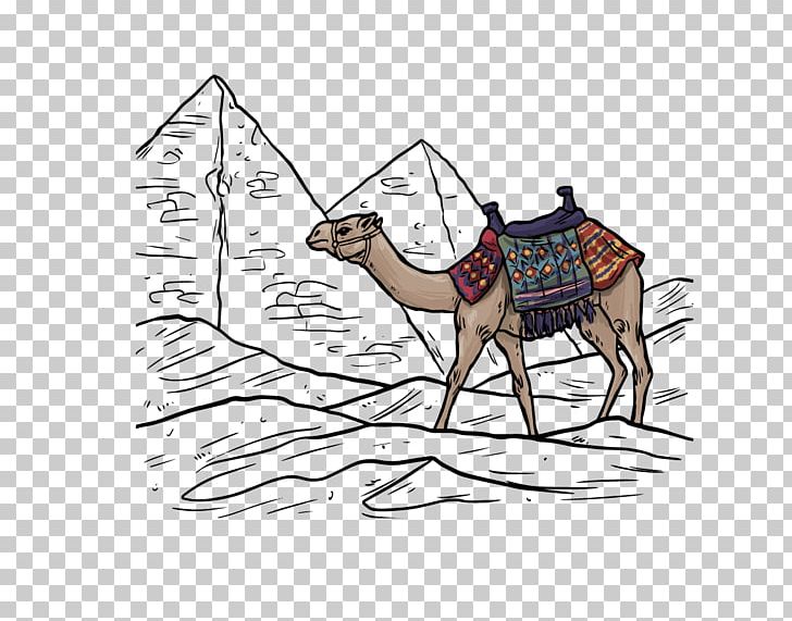 Camel Desert Euclidean PNG, Clipart, Animal, Animals, Area, Art, Camel Cartoon Free PNG Download