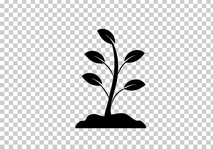 Fertilisers Computer Icons Infographic Compost Salford Group PNG, Clipart, Agriculture, Arboriculture, Black And White, Branch, Compost Free PNG Download