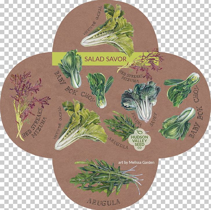 Hudson Valley Seed Company Herb Leaf Vegetable Seed Library PNG, Clipart, Asian Cuisine, Catalog, Flower, Fruit, Herb Free PNG Download