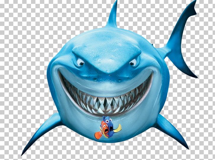 Bruce Drawing Nemo PNG, Clipart, Bruce, Cartilaginous Fish, Cartoon,  Drawing, Electric Blue Free PNG Download