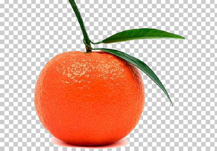 Tangerine Mandarin Orange Balsamic Vinegar Fruit PNG, Clipart, Balsamic Vinegar, Bitter Orange, Citric Acid, Citrus, Clementine Free PNG Download