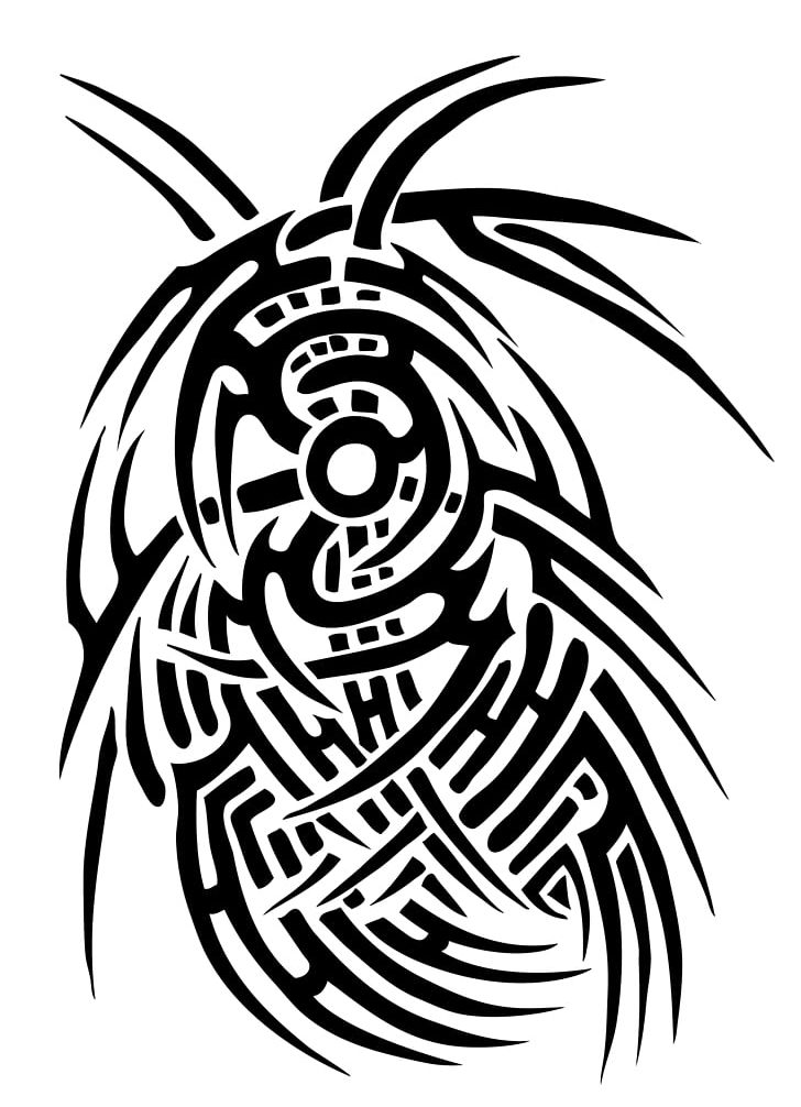 Tribe Tattoo Crow Nation Line Art PNG, Clipart, Art, Artwork, Black, Black And White, Dragon Free PNG Download