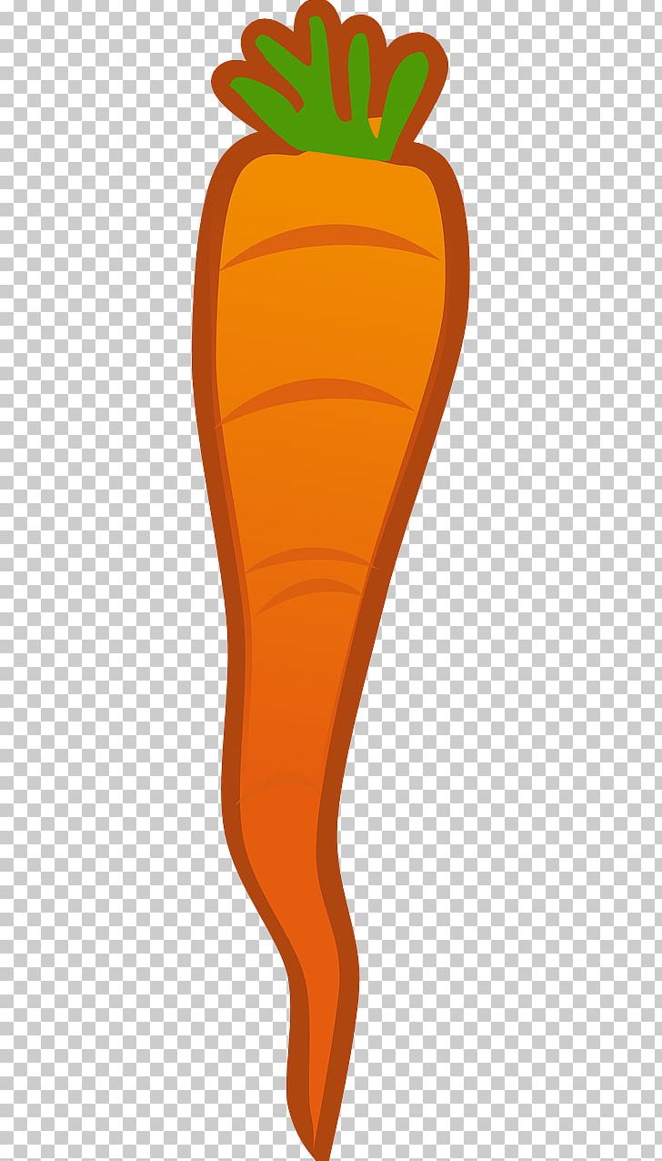 Baby Carrot PNG, Clipart, Baby Carrot, Carrot, Cartoon, Food, Fruit Free PNG Download