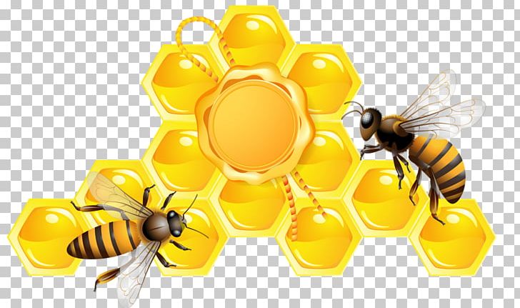 Honey Bee Beehive PNG, Clipart, Arthropod, Bee, Computer Wallpaper, Dessert, Drawing Free PNG Download