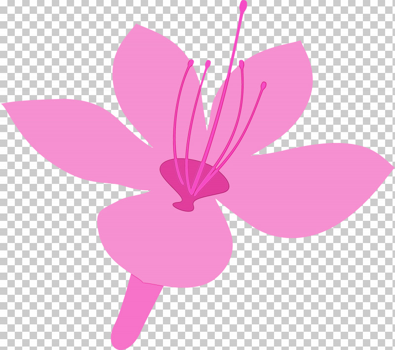 Pink Petal Flower Plant Magenta PNG, Clipart, Azalea, Azalea Flower, Flower, Herbaceous Plant, Magenta Free PNG Download
