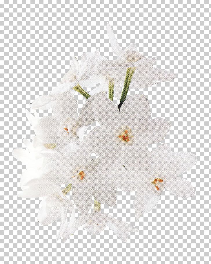 Floral Design White Flower PNG, Clipart, Abstract, Background, Blossom, Bouquet Of Flowers, Branch Free PNG Download