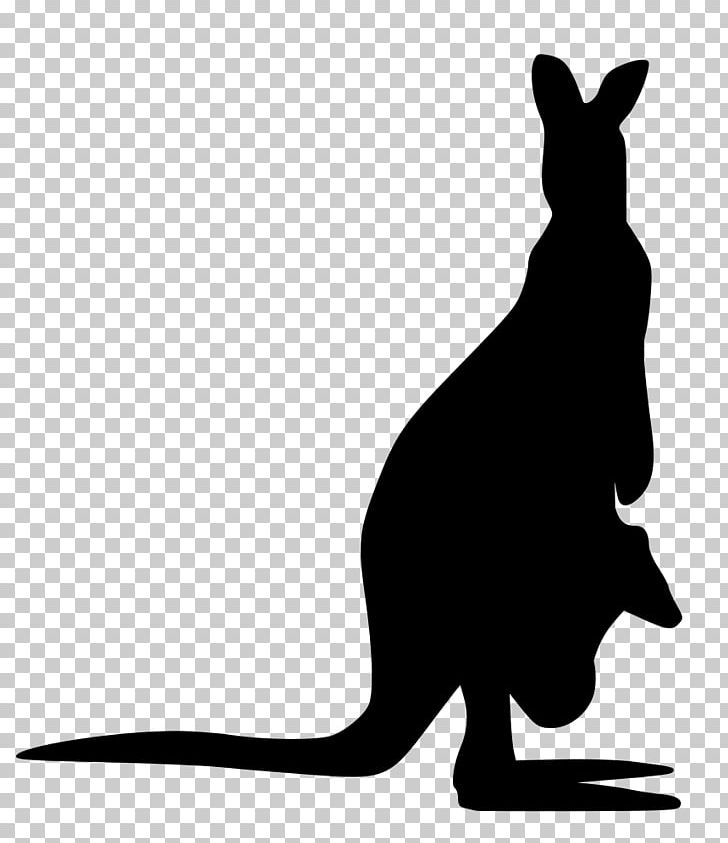 Kangaroo Silhouette PNG, Clipart, Animals, Black, Black And White, Boxing Kangaroo, Cat Free PNG Download