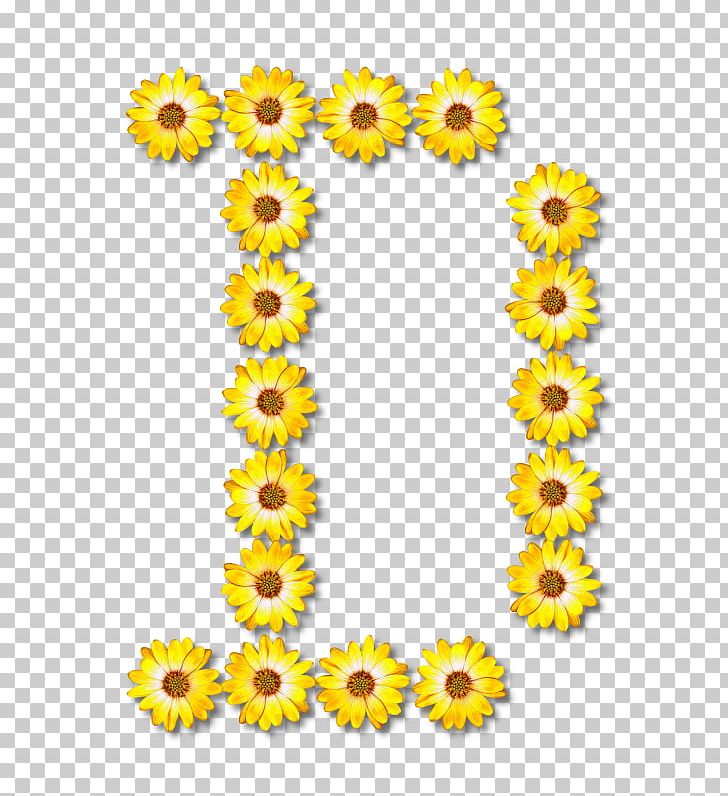 Typeface Alphabet Typography Floral Design Font PNG, Clipart, Alphabet, Cut Flowers, Daisy Family, Floral Design, Floristry Free PNG Download