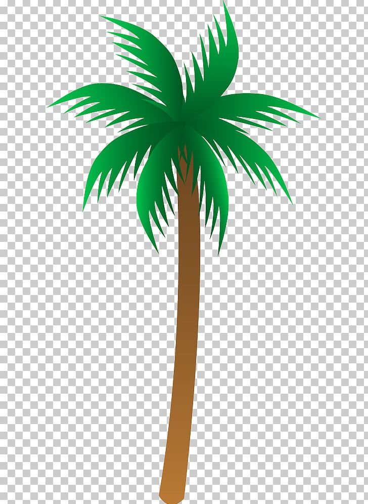 Arecaceae Drawing PNG, Clipart, Arecaceae, Arecales, Art, Branch, Cartoon Free PNG Download