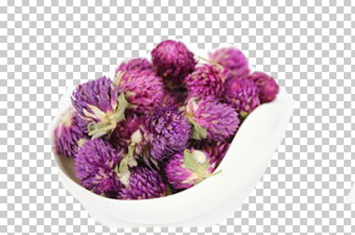 Flowering Tea Globe Amaranth Herbal Tea Purple PNG, Clipart, Download, Flower, Flowering Tea, Flowers, Food Drinks Free PNG Download