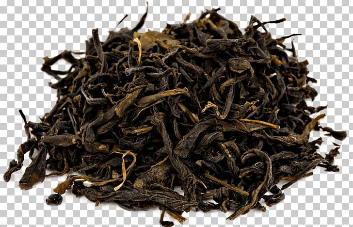 Green Tea Lapsang Souchong Black Tea Darjeeling White Tea PNG, Clipart,  Free PNG Download