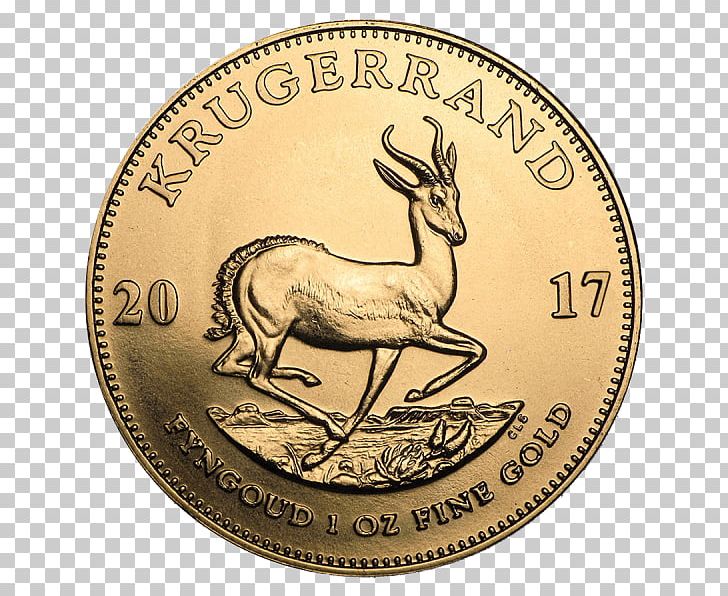 Krugerrand Bullion Coin Gold Coin PNG, Clipart, Antler, Apmex, Bullion, Bullion Coin, Canadian Gold Maple Leaf Free PNG Download