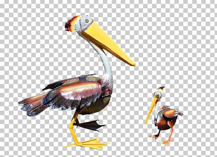 Pelican Products Toucan Fauna Beak PNG, Clipart, Beak, Bird, Fauna, Others, Pelecaniformes Free PNG Download