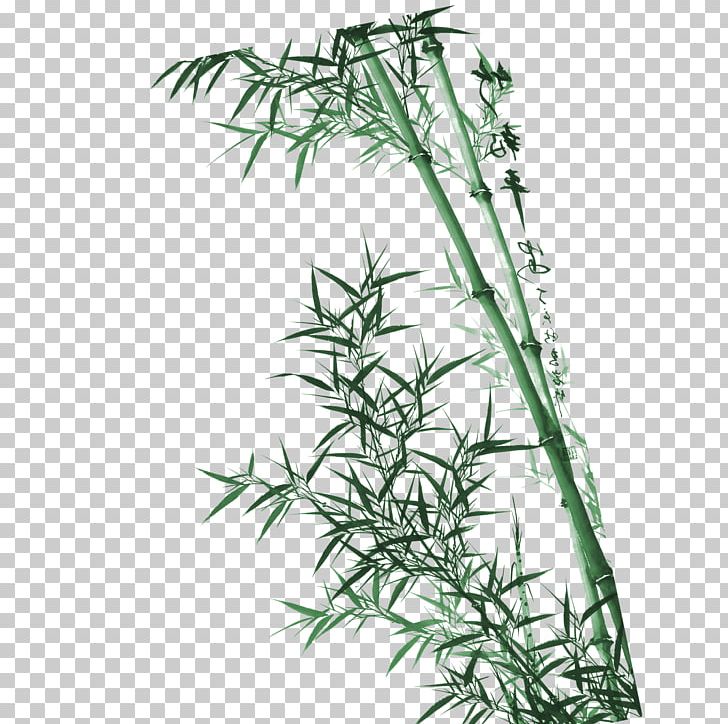 Bamboo Wall House Painter And Decorator Mural PNG, Clipart, Bamboo Border, Bamboo Frame, Bamboo House, Bamboo Leaf, Bamboo Leaves Free PNG Download