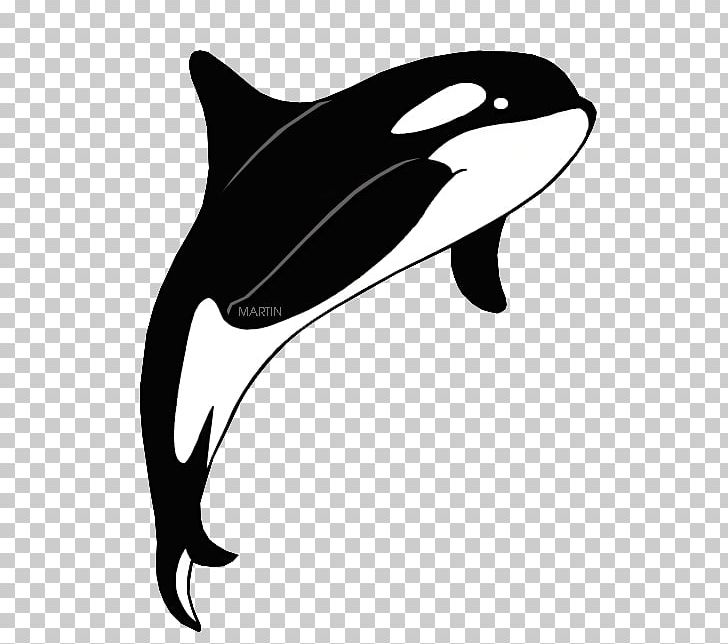 Killer Whale The Orca Cetacea PNG, Clipart, Animal, Black, Black And White, Cetacea, Dolphin Free PNG Download