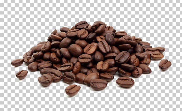 Coffee Bean Cafe Jamaican Blue Mountain Coffee Cocoa Bean PNG, Clipart, Bean, Black Beans, Cafe, Caffeine, Cocoa Bean Free PNG Download