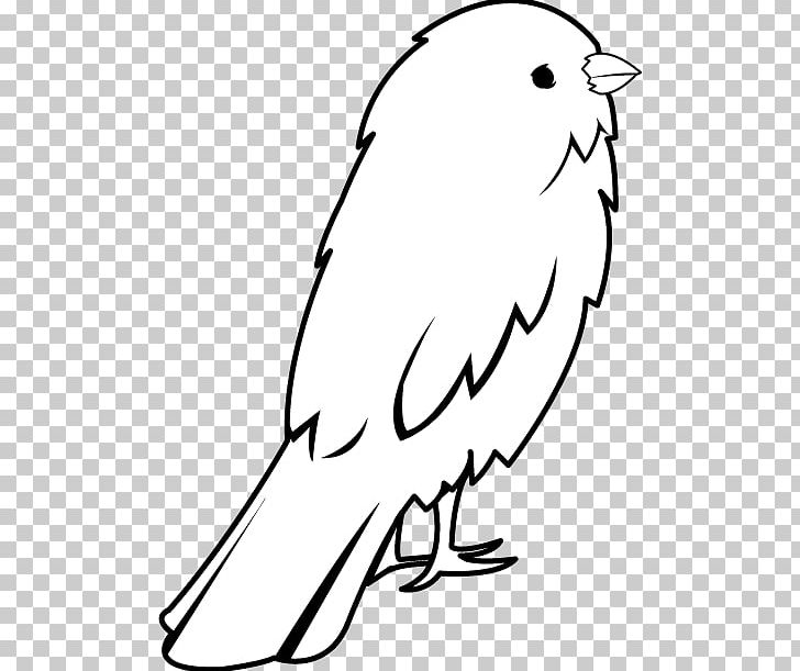 Domestic Canary Drawing Open Big Bird PNG, Clipart, Area, Art, Artwork, Beak, Big Bird Free PNG Download