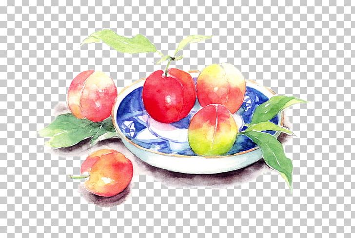 Saturn Peach Still Life Watercolor Painting Art PNG, Clipart, Color, Composition, Diet Food, Food, Fruit Free PNG Download