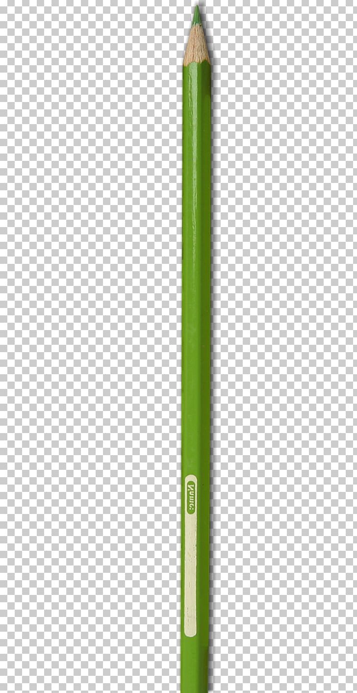 Pen PNG, Clipart, Background Green, Green, Green Leaf, Green Tea, In Kind Free PNG Download