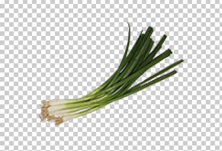 Allium Fistulosum Onion Scallion Vegetable Insecticide PNG, Clipart, Allium Fistulosum, Biological Pest Control, Description, Food, Fungicide Free PNG Download