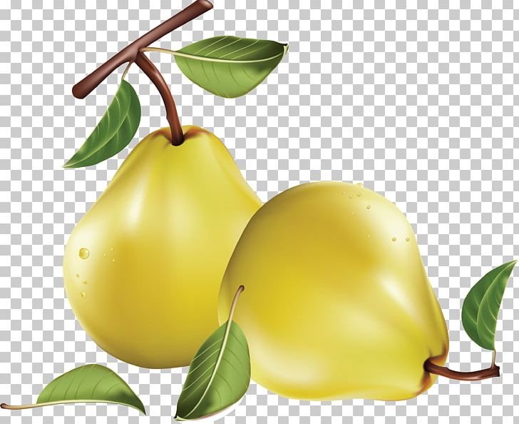 Asian Pear PNG, Clipart, Apple, Asian Pear, Blog, Blueberries, Citrus Free PNG Download