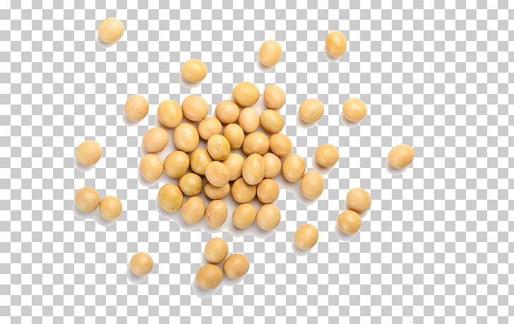 Vegetarian Cuisine Soybean Dietary Supplement Isoflavones PNG, Clipart, Bean, Commodity, Common Bean, Dietary Supplement, Food Free PNG Download