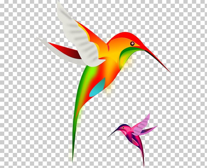 Ruby-throated Hummingbird PNG, Clipart, Animated, Animated Bird Cliparts, Beak, Bird, Clip Art Free PNG Download