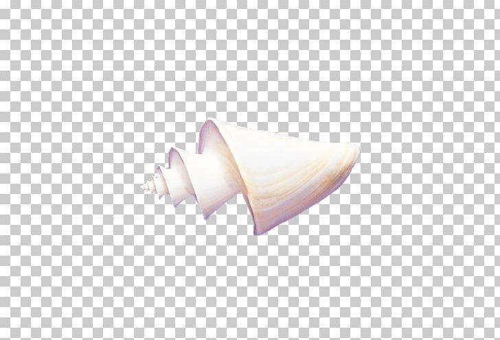 Seafood Conch PNG, Clipart, Adobe Illustrator, Angle, Arm, Beach, Beach Elements Free PNG Download