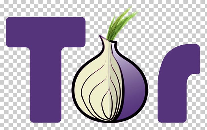 Tor .onion Onion Routing The Hidden Wiki Anonymity PNG, Clipart, Anonymat Sur Internet, Browser, Computer Servers, Domain Name System, Encryption Free PNG Download