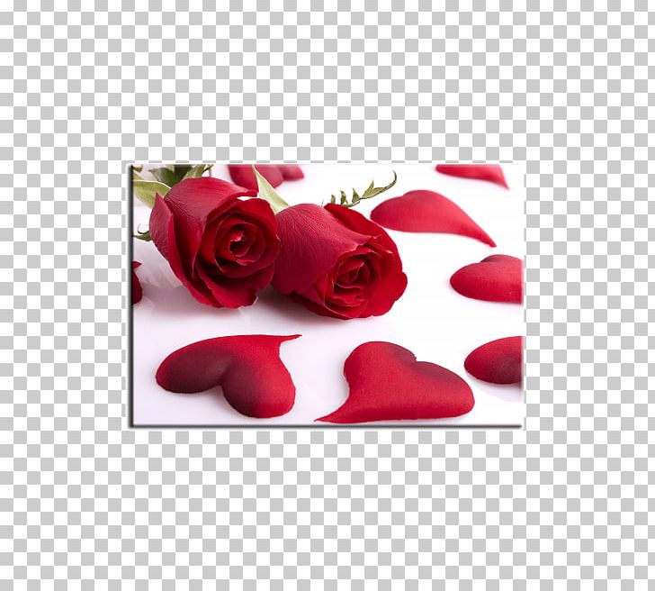 Heart Rose Valentine's Day Red PNG, Clipart,  Free PNG Download