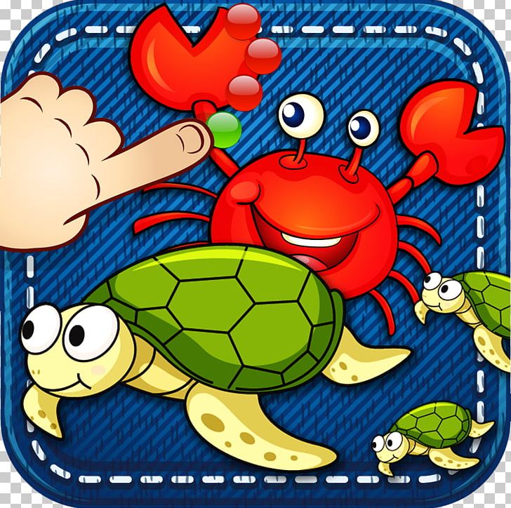 Turtle Sea PNG, Clipart, Animals, Ball, Learn, Organism, Play Free PNG Download