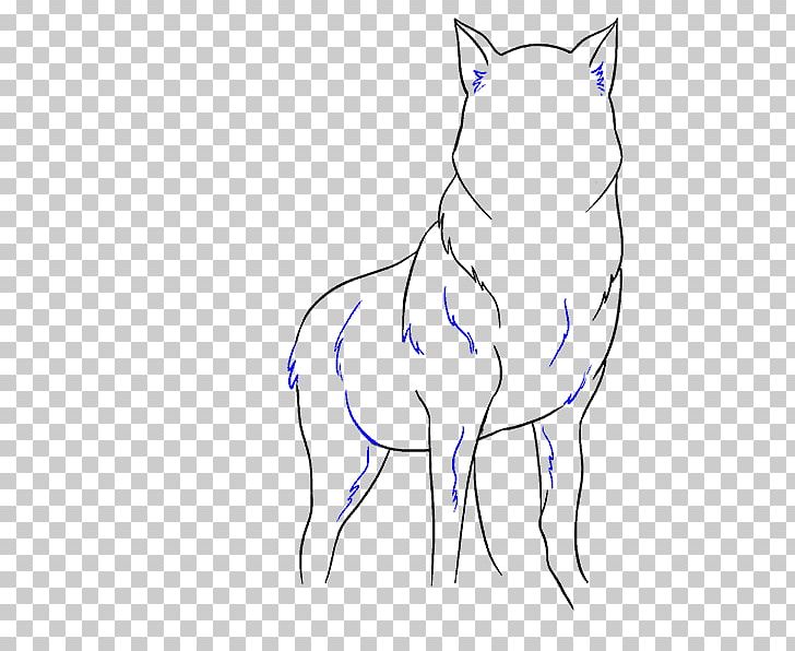 Gray Wolf Drawing Line Art Sketch PNG, Clipart,  Free PNG Download