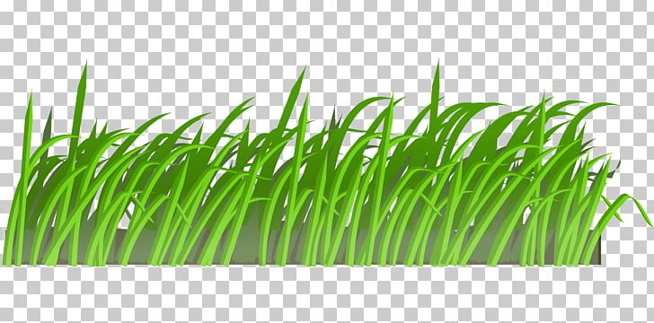 Lawn Mowers Animation PNG, Clipart, Animation, Cartoon, Chrysopogon Zizanioides, Clip Art, Commodity Free PNG Download