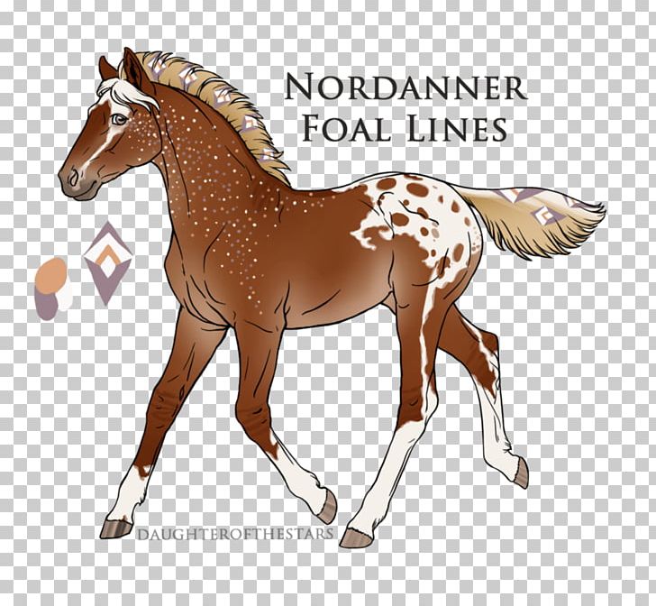 Mustang Foal Pony Stallion Colt PNG, Clipart, Animal Figure, Art, Blue Blanket, Bridle, Colt Free PNG Download