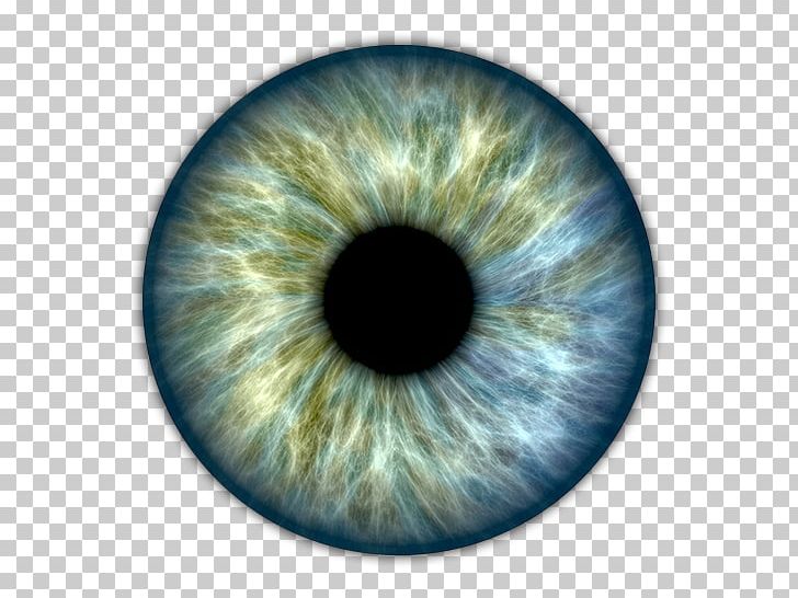 Iris Human Eye Pupil Retinal Scan PNG, Clipart, Advertising, Biomedical, Circle, Closeup, Eye Free PNG Download