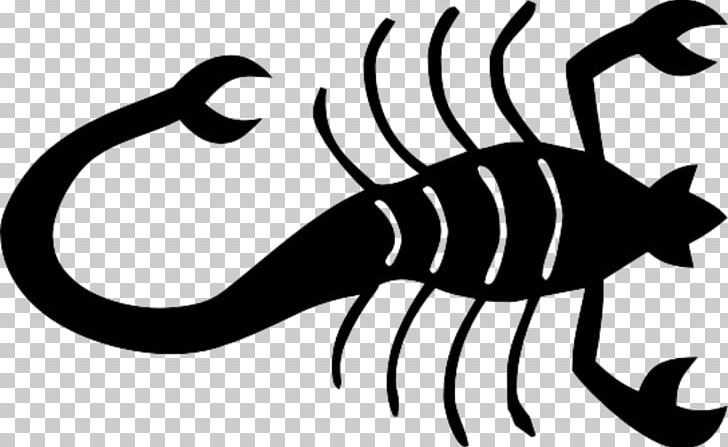 Scorpion Computer Icons PNG, Clipart, Animal, Artwork, Black And White, Cercophonius Squama, Clip Art Free PNG Download