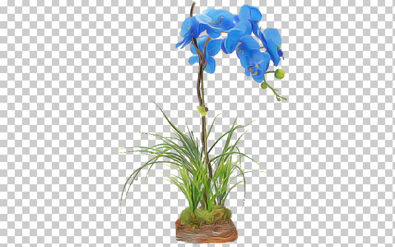 Flower Plant Aquarium Decor Flowerpot Houseplant PNG, Clipart, Aquarium Decor, Cut Flowers, Flower, Flowerpot, Houseplant Free PNG Download